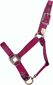 HORSE HALTER SMALL ROSEBERRY 500-800#