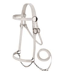 HORSE HALTER SMALL SILVER 400-500#