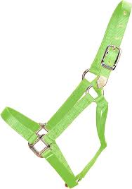 HORSE HALTER SMALL GREEN 500-800#