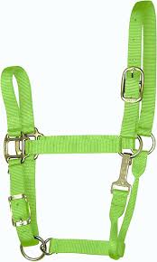 HORSE HALTER SMALL LIME GREEN 500-800#