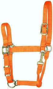 HORSE HALTER SMALL ORANGE 500-800#