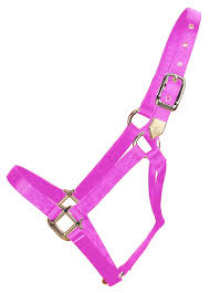 HORSE HALTER SMALL PINK 500-800#