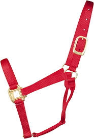 HORSE HALTER SMALL RED 500-800#