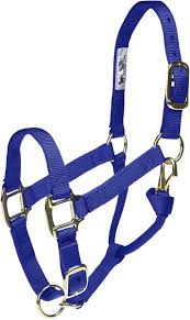 HORSE HALTER YEARLING BLUE 300-500#