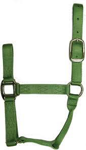 HORSE HALTER YEARLING GREEN 300-500#