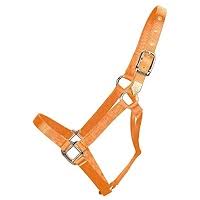 HORSE HALTER YEARLING MARIGOLD 300-500#