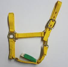 HORSE HALTER YEARLING NEON YELLOW 300-500#