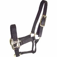 HORSE HALTER COLT SILVER  200-300#