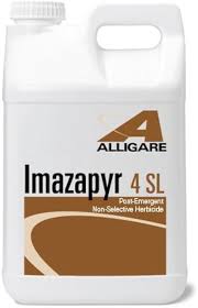 IMAZAPYR 4 SL - 1 QUART 52.6%