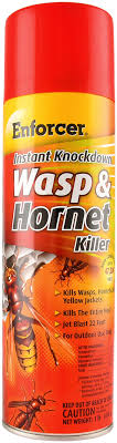 INSTANT KNOCKDOWN WASP & YELLOW JACKET FOAM