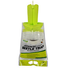 JAPANESE BEETLE TRAP