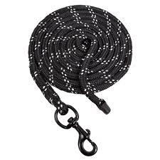 LEAD ROPE 10' BLACK/SILVER