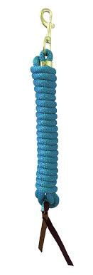 LEAD ROPE 10' NYLON AQUA WITH SNAP