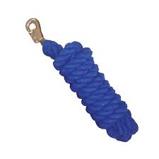 LEAD ROPE 10' NYLON BLUE WITH SNAP