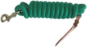 LEAD ROPE 10' NYLON GREEN WITH SNAP