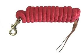 LEAD ROPE 10' NYLON RED WITH SNAP