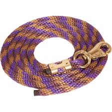 LEAD ROPE 10' PURPLE/GOLD