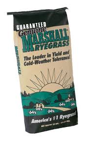 MARSHALL RYEGRASS 50#