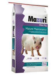 MAZURI  PIG MATURE MAINTAINCE