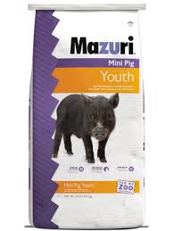 MAZURI PIG YOUTH