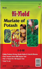 MURIATE OF POTASH 0-0-60 4 #