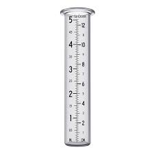 RAIN GAUGE EZREAD