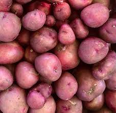 RED POTATOES LASODA #