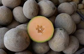 ROCKY FORD CANTALOUPE OZ