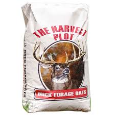 SeedRanch Buck Forage Oats Food Plot Seeds – 10 Lbs, Whitetail Deer Attractant