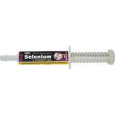 SELENIUM AND VITAMIN E GEL