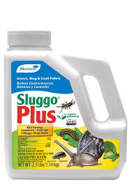 SLUGGO PLUS