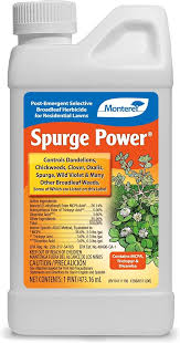 SPURGE POWER 1 PINT