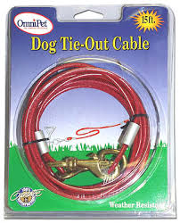 TIE-OUT CABLE 10FT