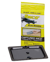 TOMCAT GLUE BOARD MOUSE SIZE 2 PACK