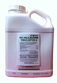 TRICLOPYR 4 1 GAL