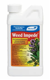 WEED IMPEDE 1 PINT