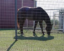 WIRE PANEL 2 x 4 12FT 4 GA HORSE