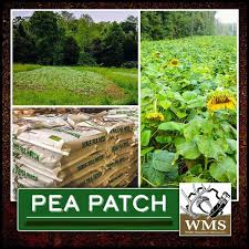 WMS SPRING PEA PATCH 50#