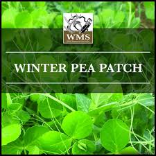 WMS WINTER PEA PATCH 50#