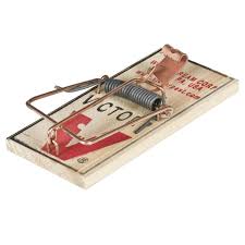 WOODEN MOUSE TRAP 2 PACK