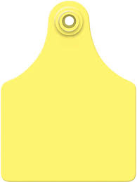 TAGS ALLFLEX MAXI YELLOW BLANK