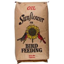 BLACK OIL SUNFLOWER SEED 50#