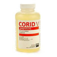 CORID 16 OZ BOTTLE