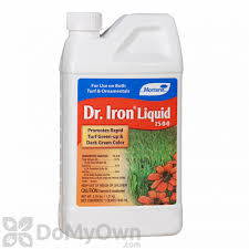 DR. IRON PINT