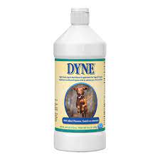 DYNE 16 OZ