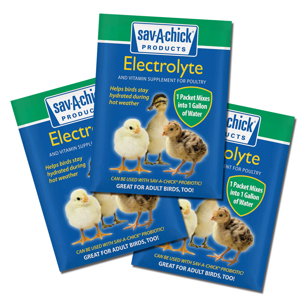 ELECTROLYTE SAV-A-CHICK 3 PAK