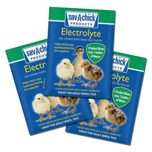 ELECTROLYTE SAV-A-CHICK 3 PAK