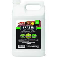 ERASER 1 GAL