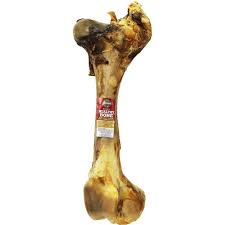 FEMUR BONE