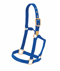 HORSE HALTER PONY BLUE 100-200#